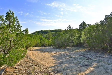 497 Acres of Pristine Hunting Land in Central Texas - image 21