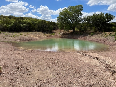 497 Acres of Pristine Hunting Land in Central Texas - image 44