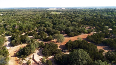 497 Acres of Pristine Hunting Land in Central Texas - image 11
