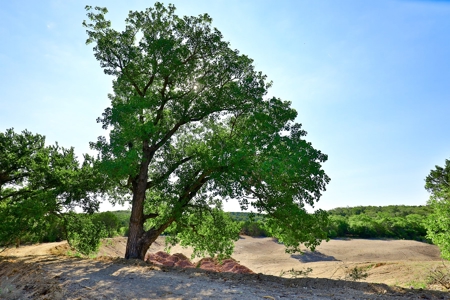 497 Acres of Pristine Hunting Land in Central Texas - image 36