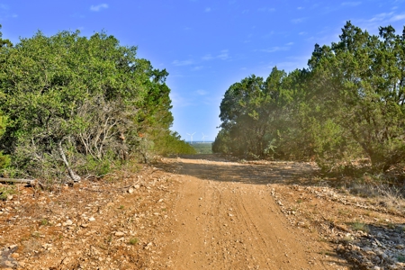 497 Acres of Pristine Hunting Land in Central Texas - image 22