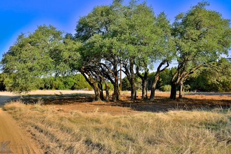 497 Acres of Pristine Hunting Land in Central Texas - image 18