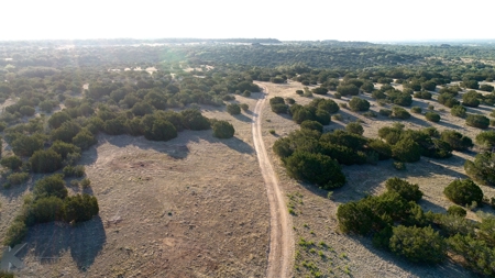 497 Acres of Pristine Hunting Land in Central Texas - image 39