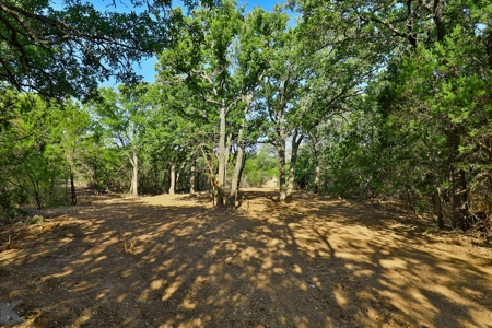 497 Acres of Pristine Hunting Land in Central Texas - image 30