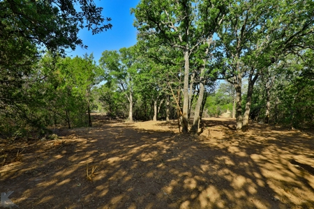 497 Acres of Pristine Hunting Land in Central Texas - image 31