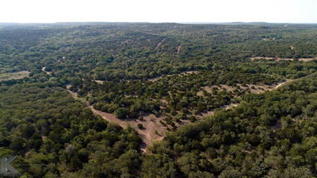 497 Acres of Pristine Hunting Land in Central Texas - image 8
