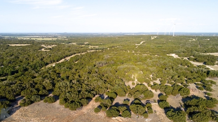 497 Acres of Pristine Hunting Land in Central Texas - image 38