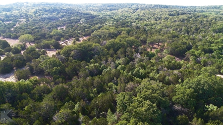 497 Acres of Pristine Hunting Land in Central Texas - image 10