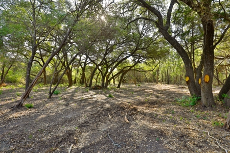 497 Acres of Pristine Hunting Land in Central Texas - image 27