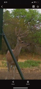 497 Acres of Pristine Hunting Land in Central Texas - image 46
