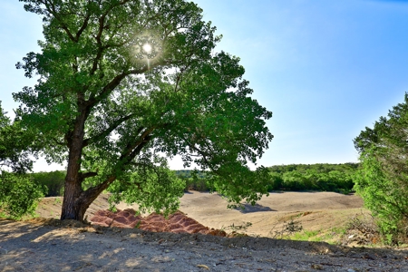 497 Acres of Pristine Hunting Land in Central Texas - image 35
