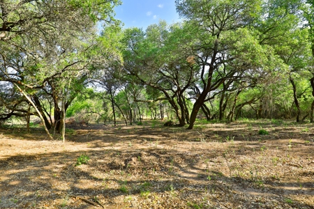 497 Acres of Pristine Hunting Land in Central Texas - image 28
