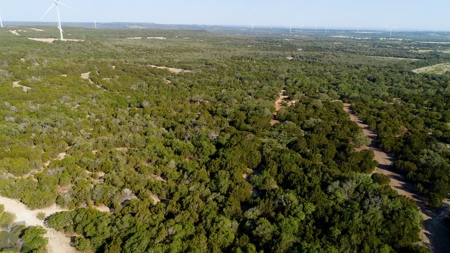 497 Acres of Pristine Hunting Land in Central Texas - image 4