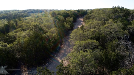 497 Acres of Pristine Hunting Land in Central Texas - image 14