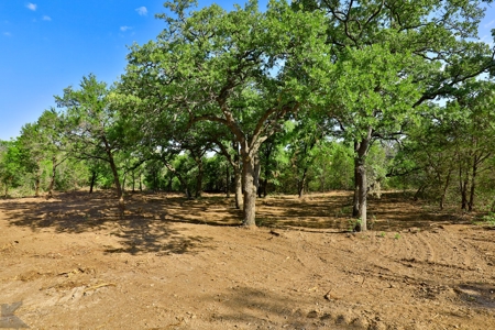 497 Acres of Pristine Hunting Land in Central Texas - image 33