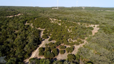 497 Acres of Pristine Hunting Land in Central Texas - image 7