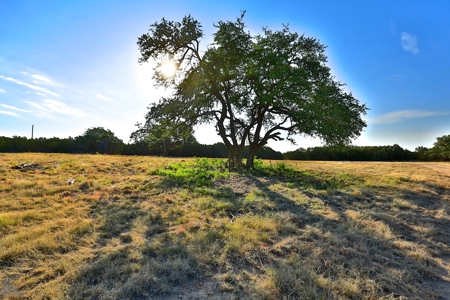 497 Acres of Pristine Hunting Land in Central Texas - image 15
