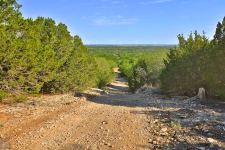 497 Acres of Pristine Hunting Land in Central Texas - image 23