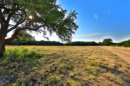 497 Acres of Pristine Hunting Land in Central Texas - image 17
