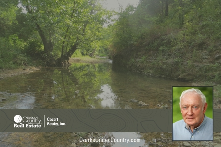 Acreage with Creek Frontage For Sale near Mammoth Spring, AR - image 14