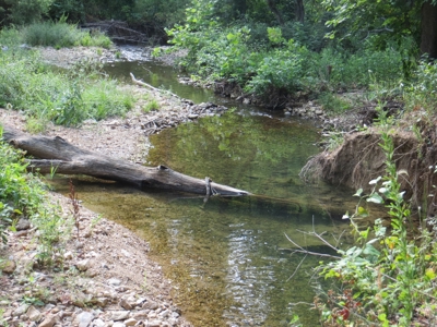 Acreage with Creek Frontage For Sale near Mammoth Spring, AR - image 8