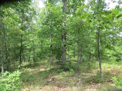 Acreage with Creek Frontage For Sale near Mammoth Spring, AR - image 3