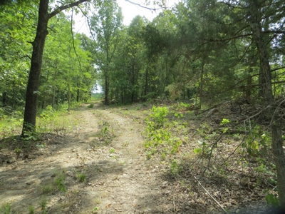 Acreage with Creek Frontage For Sale near Mammoth Spring, AR - image 1