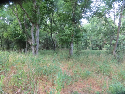 Acreage with Creek Frontage For Sale near Mammoth Spring, AR - image 7