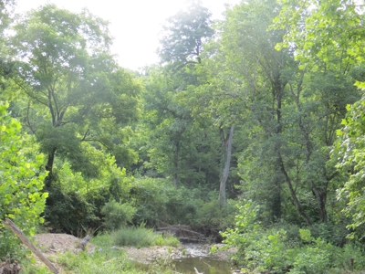 Acreage with Creek Frontage For Sale near Mammoth Spring, AR - image 9