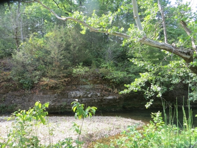 Acreage with Creek Frontage For Sale near Mammoth Spring, AR - image 10