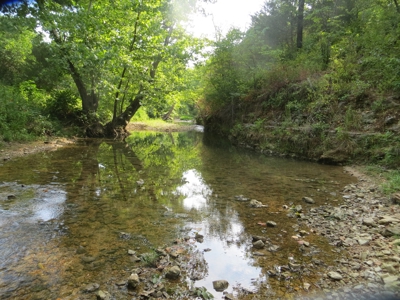 Acreage with Creek Frontage For Sale near Mammoth Spring, AR - image 13