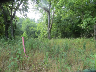 Acreage with Creek Frontage For Sale near Mammoth Spring, AR - image 6