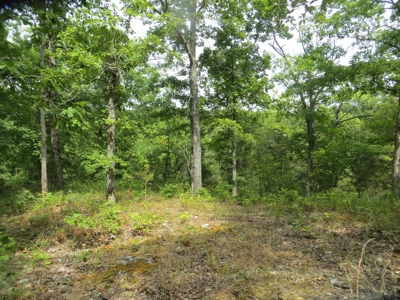 Acreage with Creek Frontage For Sale near Mammoth Spring, AR - image 2