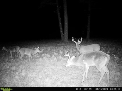 Hunting Property / Cattle Ranch Land For Sale In Oklahoma - image 36