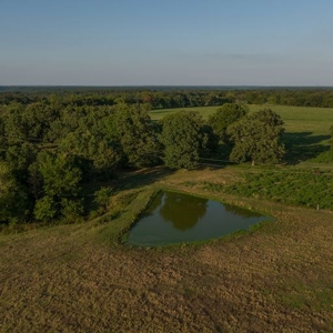 Hunting Property / Cattle Ranch Land For Sale In Oklahoma - image 27