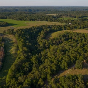 Hunting Property / Cattle Ranch Land For Sale In Oklahoma - image 24