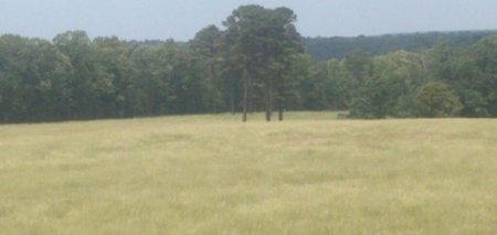 Hunting Property / Cattle Ranch Land For Sale In Oklahoma - image 4