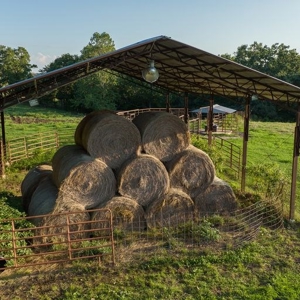 Hunting Property / Cattle Ranch Land For Sale In Oklahoma - image 20