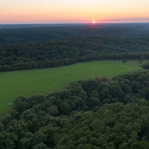 Hunting Property / Cattle Ranch Land For Sale In Oklahoma - image 17