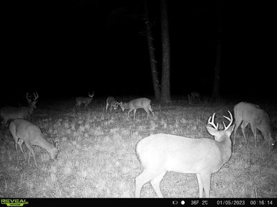 Hunting Property / Cattle Ranch Land For Sale In Oklahoma - image 35