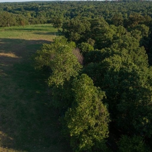 Hunting Property / Cattle Ranch Land For Sale In Oklahoma - image 22