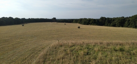Hunting Property / Cattle Ranch Land For Sale In Oklahoma - image 6