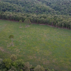 Hunting Property / Cattle Ranch Land For Sale In Oklahoma - image 26