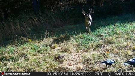 Hunting Property / Cattle Ranch Land For Sale In Oklahoma - image 33
