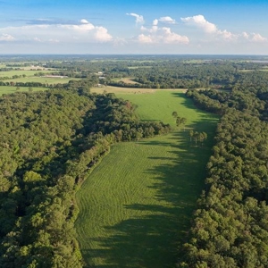 Hunting Property / Cattle Ranch Land For Sale In Oklahoma - image 13