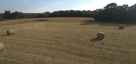 Hunting Property / Cattle Ranch Land For Sale In Oklahoma - image 3