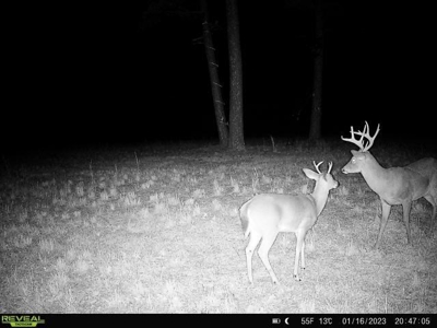 Hunting Property / Cattle Ranch Land For Sale In Oklahoma - image 31
