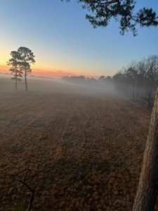 Hunting Property / Cattle Ranch Land For Sale In Oklahoma - image 37