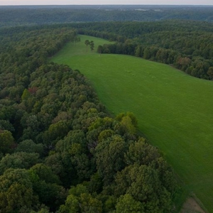 Hunting Property / Cattle Ranch Land For Sale In Oklahoma - image 15