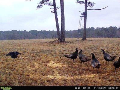 Hunting Property / Cattle Ranch Land For Sale In Oklahoma - image 30